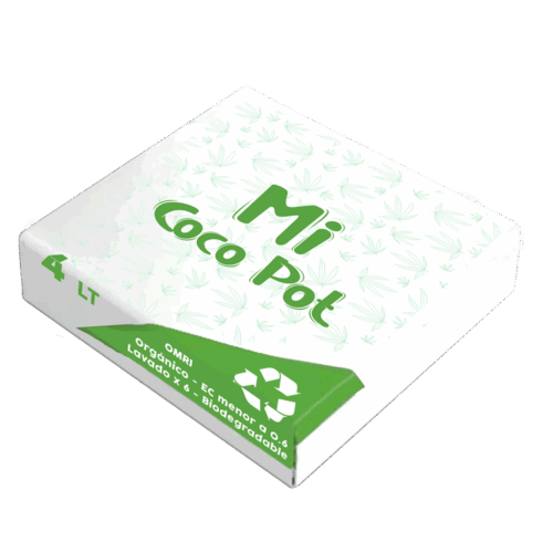 Coco Pot - Unidad
