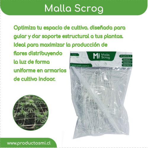 Malla Scrog